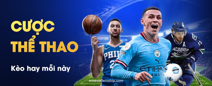 WinZO Mobile Gaming Experience